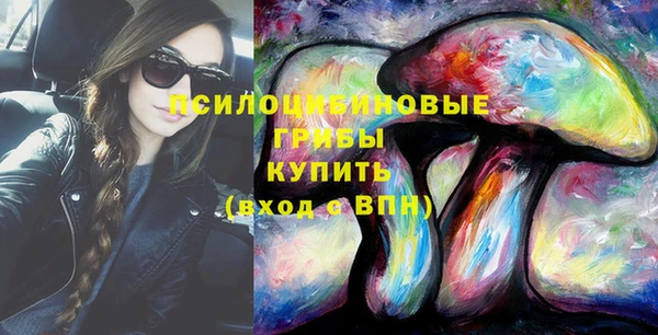 спайс Алексин