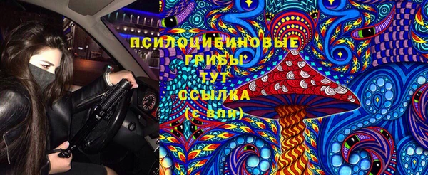 спайс Алексин