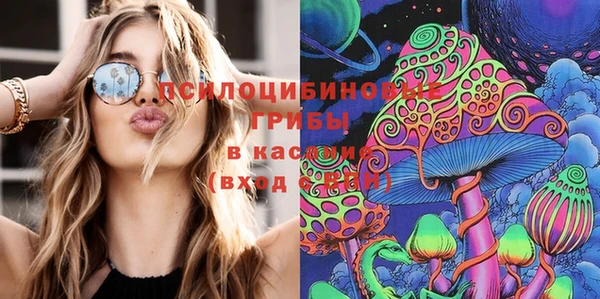 спайс Алексин