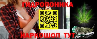 альфа пвп Новокубанск