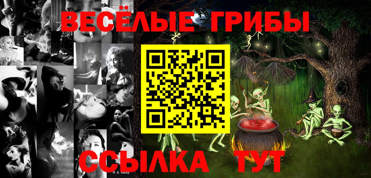 Галлюциногенные грибы прущие грибы Петрозаводск