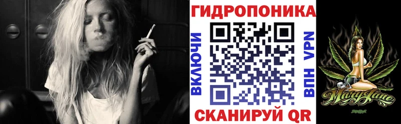 Марихуана MAZAR  купить  цена  Петрозаводск 